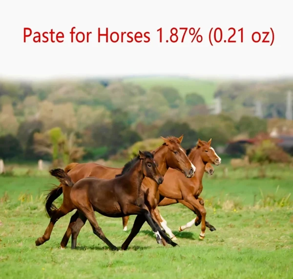 ivermectin Horse Paste 1.87% 6.08g Tubes - 3 pack - Image 2